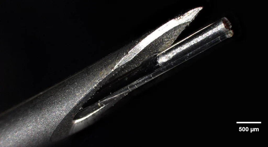 Optikdesign und Optikentwicklung des Mikro-Endoskops mit minimalem Durchmesser. Das ist das kleinste Holographische Mikroendoskop der Welt.